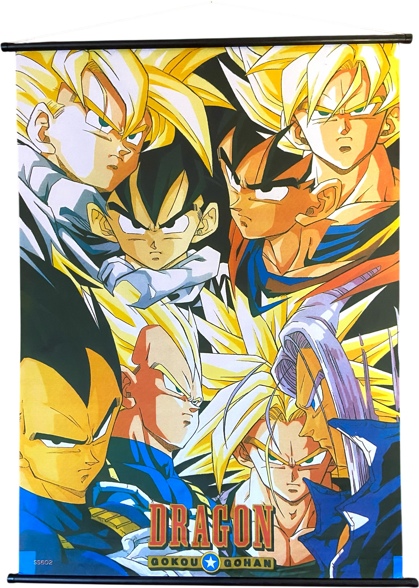 Kakémono - Dragon Ball Z
