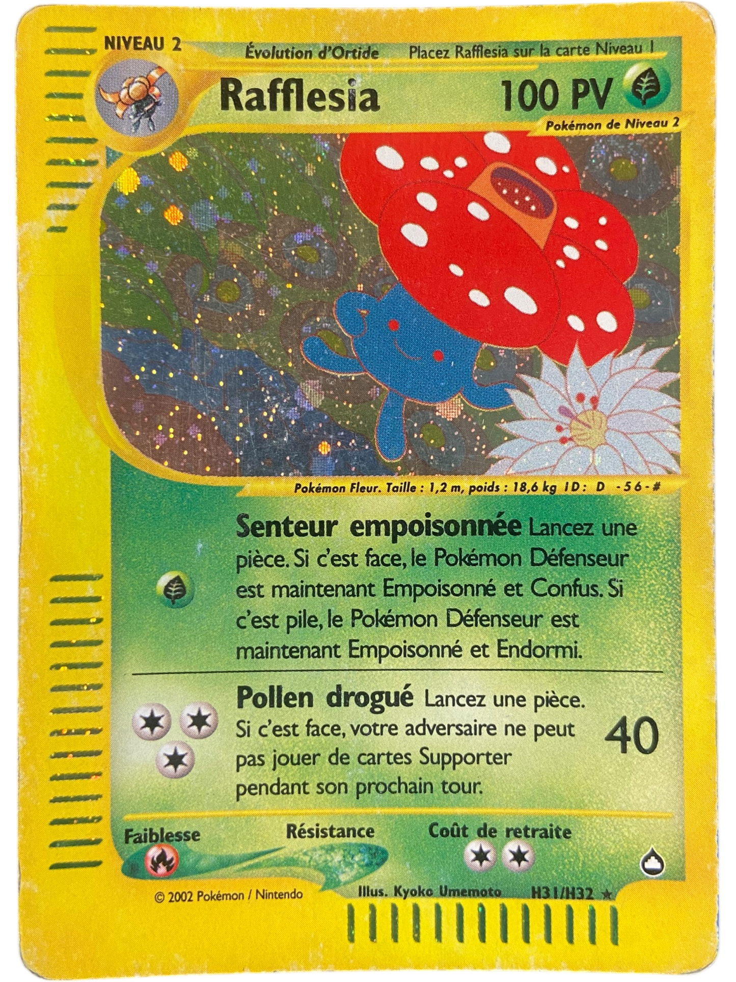 Rafflesia - H31/H32 - Aquapolis