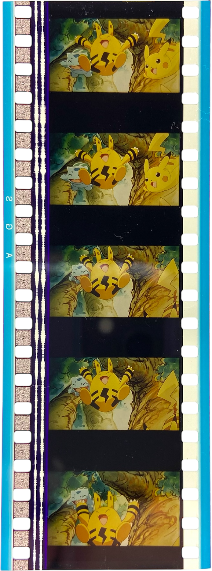 Pellicule 35mm - Pokémon