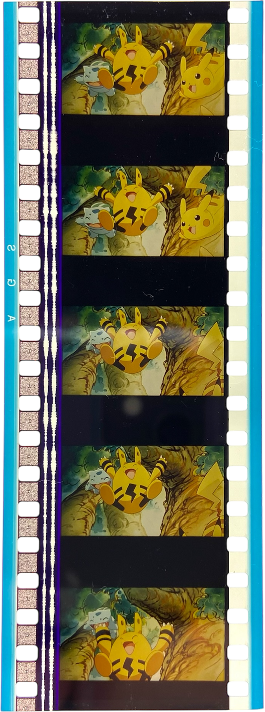 Pellicule 35mm - Pokémon