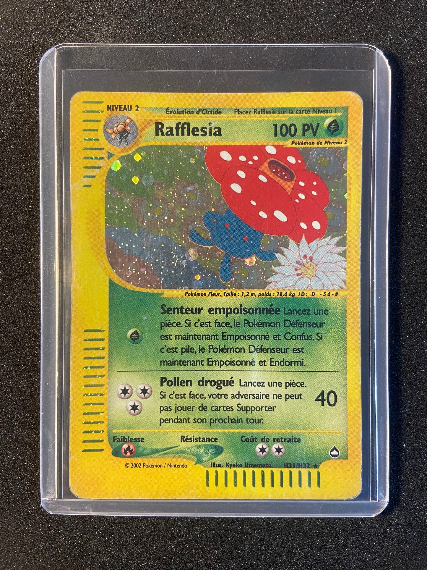 Rafflesia - H31/H32 - Aquapolis