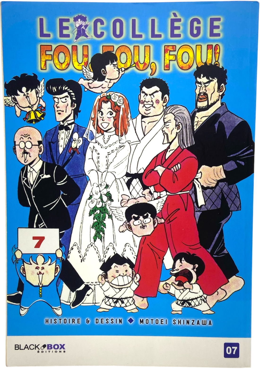 Le collège fou, fou, fou ! - Tome 7