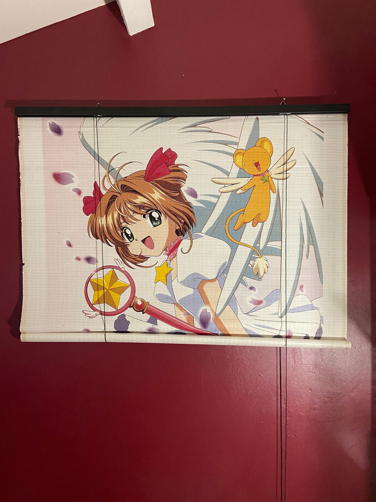Rideau - Card Captor Sakura